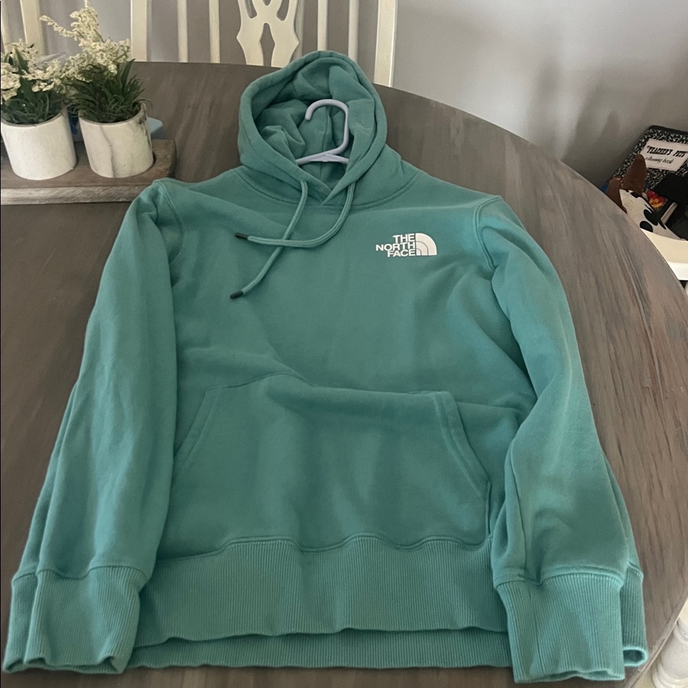 The North Face Aqua Pullover Hoodie